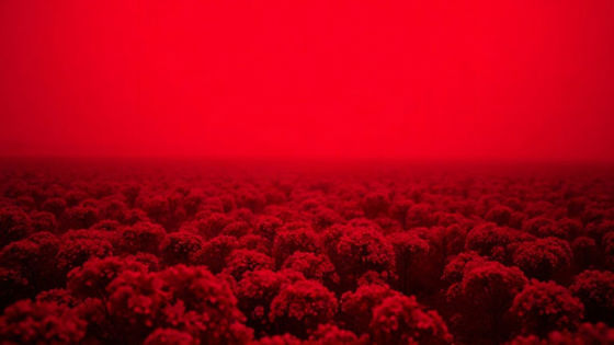 Alienado significado e a consciência capturada pelo capitalismo